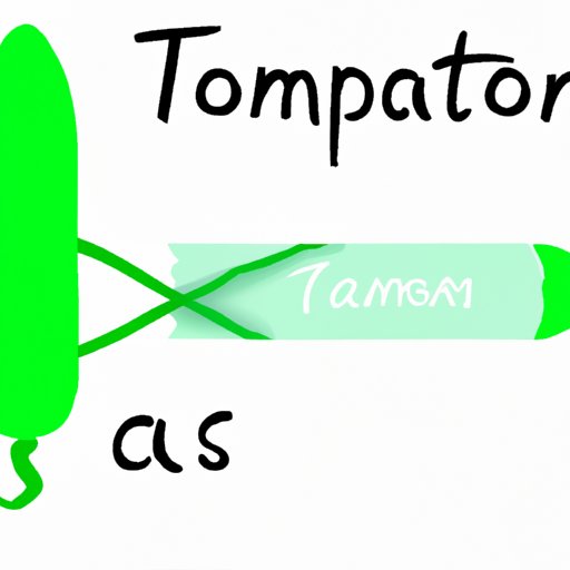 Frequently asked questions about using tampons and their answers