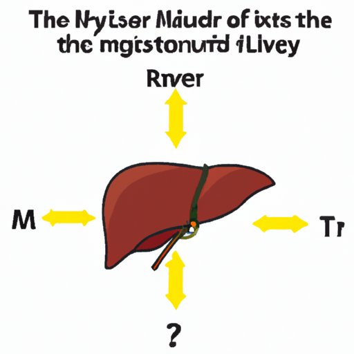 The Mystery Solved: Finding the Liver in Its Right Quadrant