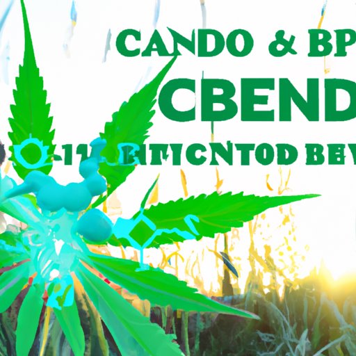CBD and the Endocannabinoid System: Understanding the Complexities of its Effects