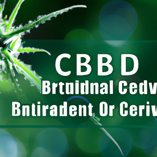 The Potential of CBD in Fighting Viral Infections: Myths and Realities