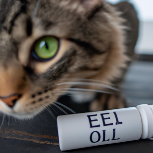CBD and Cats: Separating Fact from Fiction