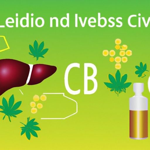 Basics of CBD and Cirrhosis of the Liver