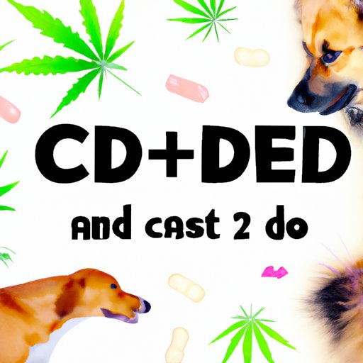 The Impact of CBD on Dogs: Separating Fact from Fiction