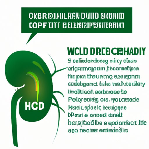 VII. CBD Oil and Kidney Function: Separating Fact from Fiction