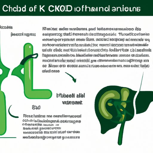  CBD Oil and the Kidneys: Analysis of the Potential Side Effects and Benefits 