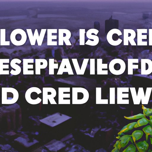 What You Need to Know About CBD and Liver Function: Separating Fact from Fiction