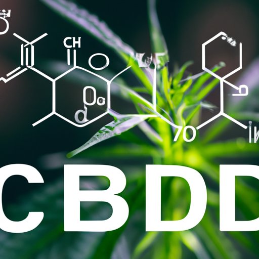 The Future of CBD: Predictions on its Legalization and Impact on Society