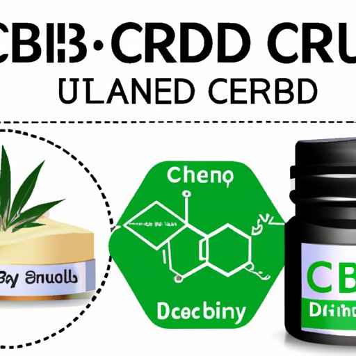 III. How to Choose the Best CBD Cream for Your Back Pain