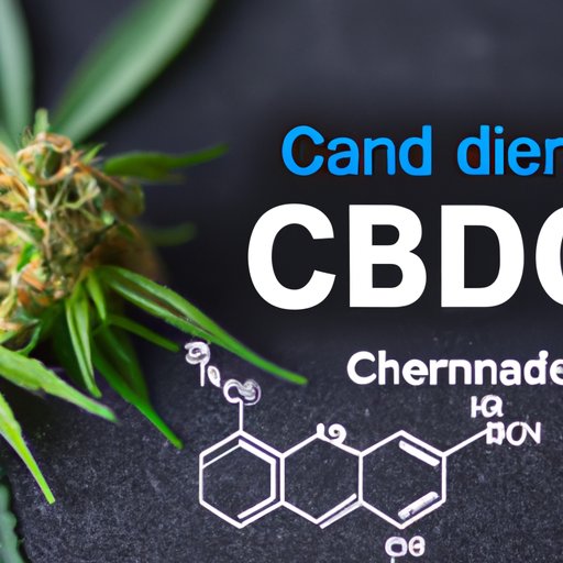 Understanding CBD and its Effects on Drug Tests