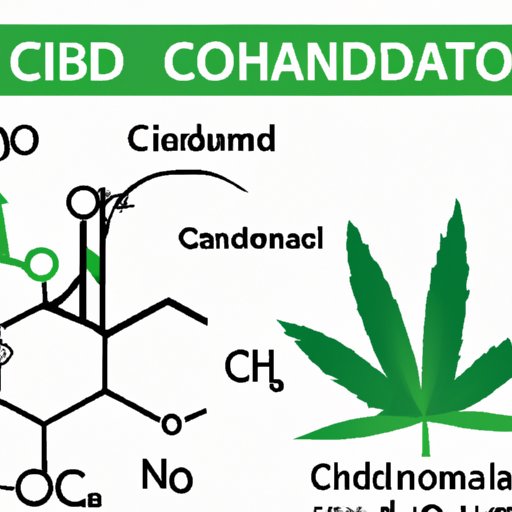 The Scientific Evidence Behind the Claim That CBD is Not Estrogenic