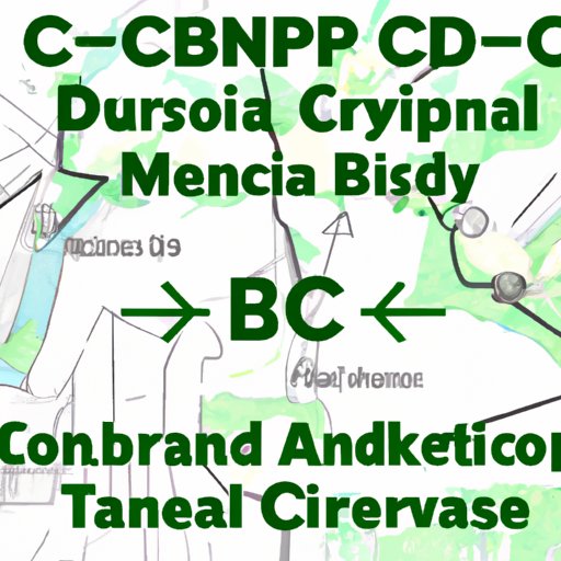 Navigating the Gray Area: CBD Use and the Military Chain of Command
