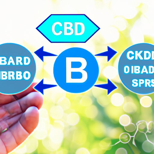CBD and Prostate Health: What You Need to Know
