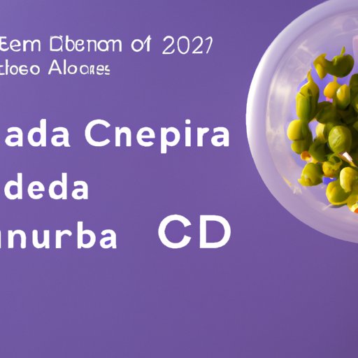 Navigating the Legal Landscape of CBD in Alabama: An Overview of 2022 Regulations