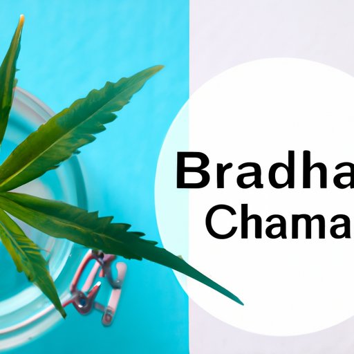 CBD and the Bahamas: The Pros and Cons of Legalization