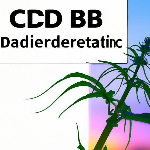 From Gray Area to Green Light: How CBD Became Legal in California