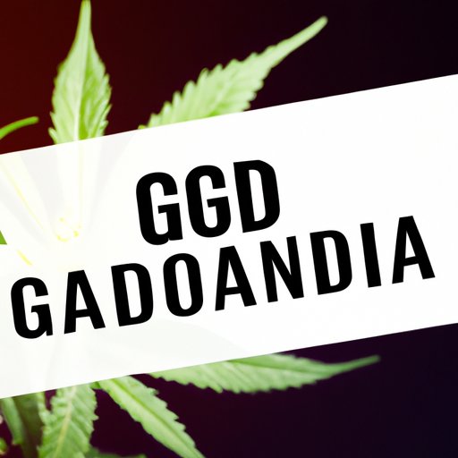 5 Things You Need to Know About the Legality of CBD in Georgia