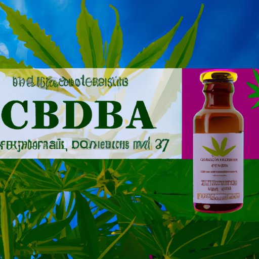 Navigating the Complexities of CBD Regulations in Italy