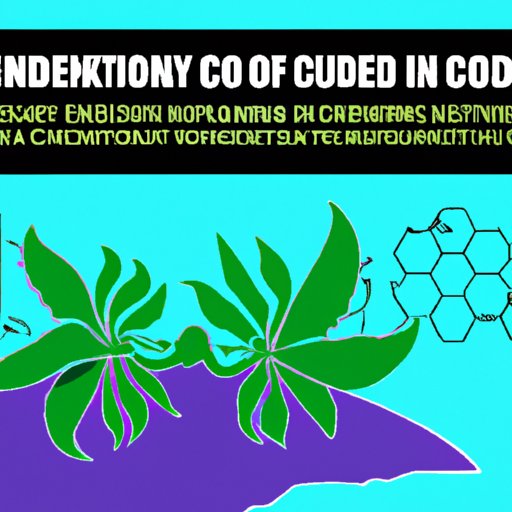 VI. The Future of CBD in Nevada: Challenges and Possibilities