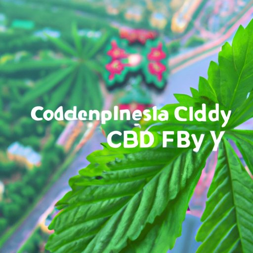 The Future of CBD in Russia: Opportunities and Challenges Ahead