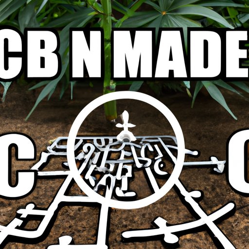 II. The Maze of CBD Legality in South Carolina: What You Need to Know