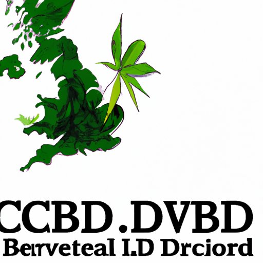 Navigating the Legality of CBD in the UK: A Comprehensive Guide for 2022