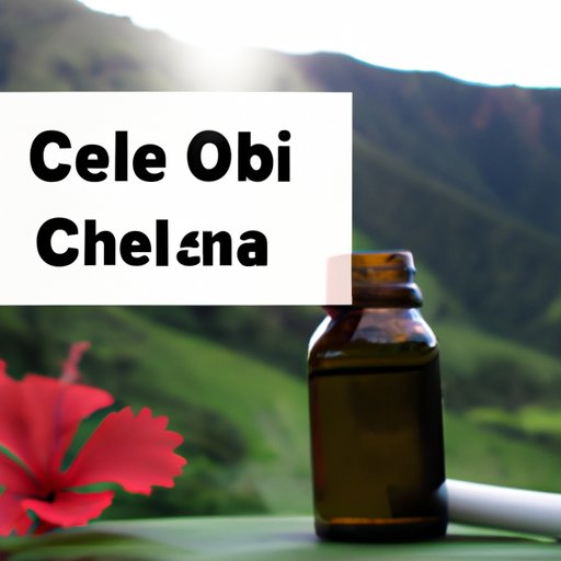 The Legalization of CBD Oil in Hawaii: What You Need to Know