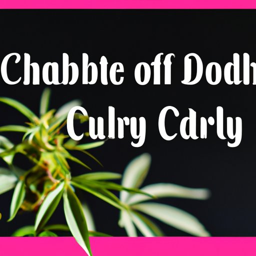 CBD Oil and the Law: What North Carolina Residents Need to Know