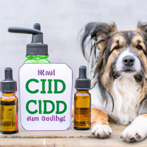 IV. CBD Oil for Dogs: Safety Concerns and Benefits Explored