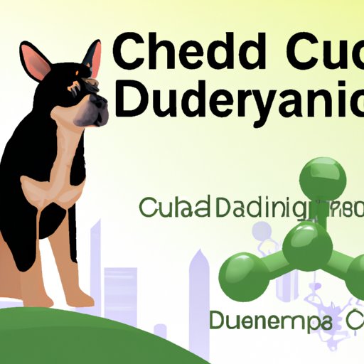 CBD for Canines: What You Need to Know About Safety and Dosage