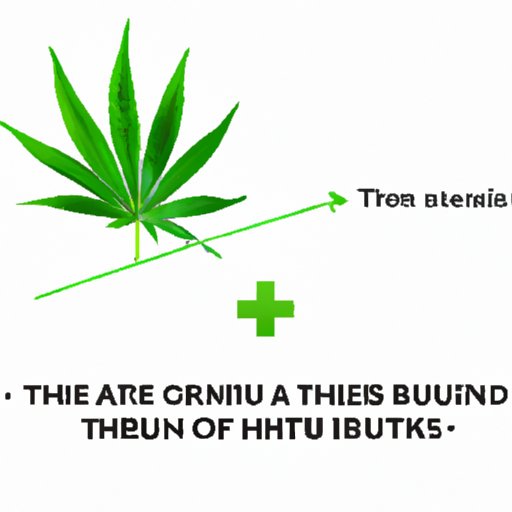 The Truth Behind Cannabis as a Blood Thinning Agent