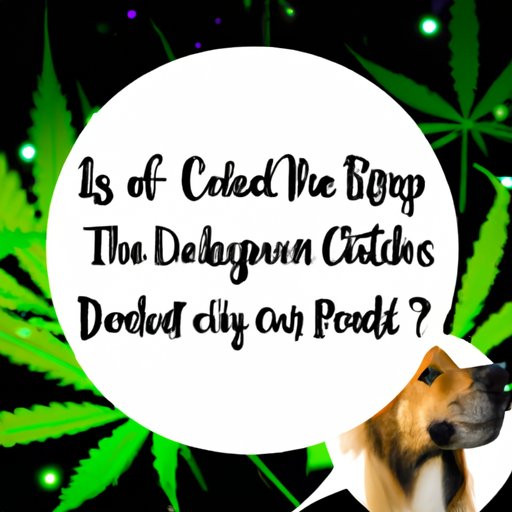 III. CBD for Dogs: Separating Fact from Fiction
