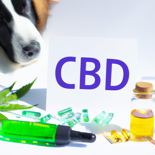Scientific Research on CBD for Pets
