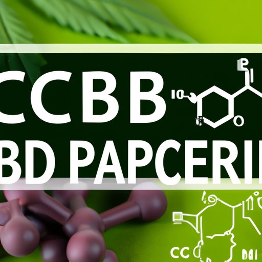 CBD and Liver Health in Dogs: What the Latest Studies Show