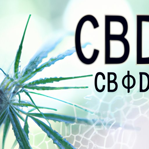What You Need to Know: CBD and Hemp