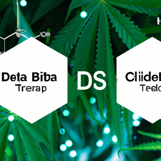The Science behind CBD and Delta 8: Similarities and Differences