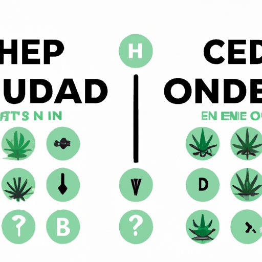 Understanding the Difference: A Comprehensive Guide to CBD and Hemp Oil