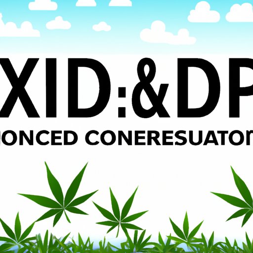 IX. Conclusion: Making Informed Decisions about Hemp and CBD
