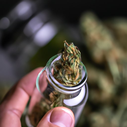 Hemp Extract vs. CBD: Understanding the Key Differences