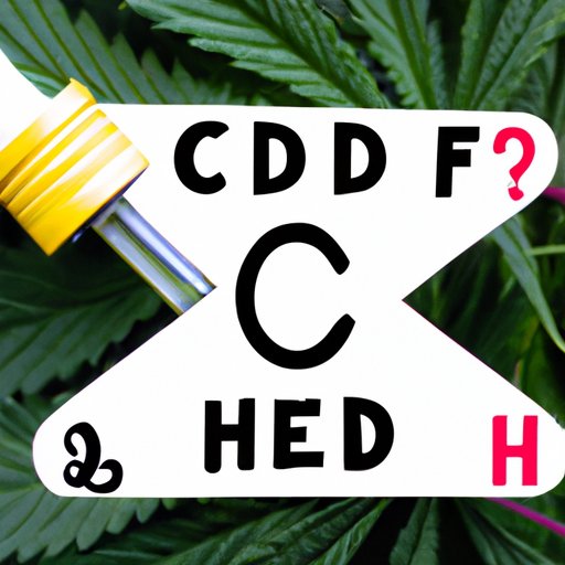 Choosing Between Hemp Extract and CBD Oil: Comparing and Contrasting the Two