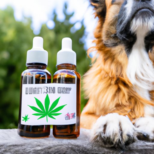 Hemp Oil vs. CBD Oil for Dogs: What You Need to Know