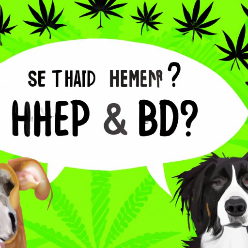 II. Clearing Up The Confusion: Hemp vs CBD For Dogs