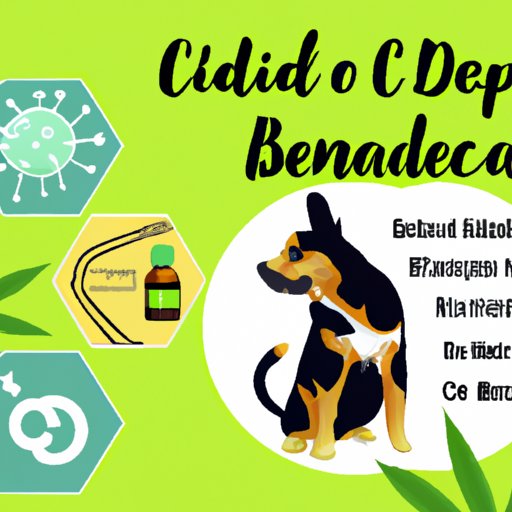 Benefits of CBD for Pets and Their Owners