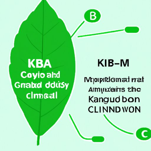 IV. The Unlikely Similarities Between Kratom and CBD