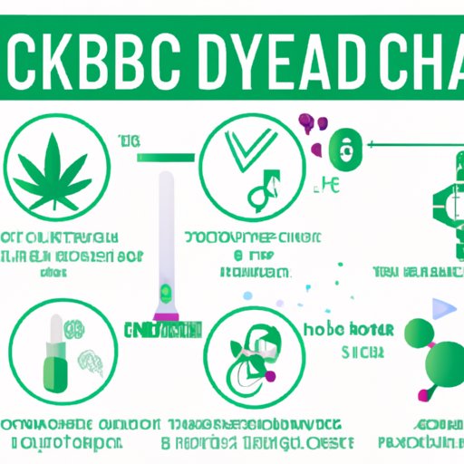 CBD Dosages: A Comprehensive Guide to Avoiding Negative Side Effects