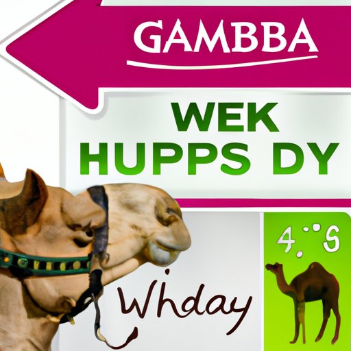 Hump Day Luck: The Pros and Cons of Visiting a Casino on a Wednesday