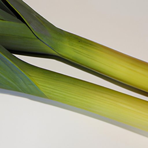 Cooking with Leeks: How to Utilize the Entire Vegetable from Top to Bottom