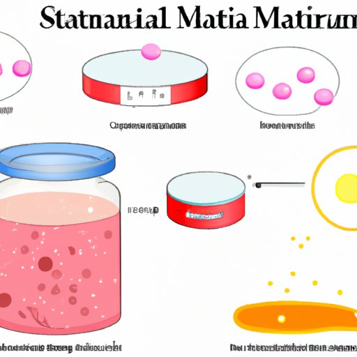 VII. Staphylococcus Detection Made Simple: The Role of Mannitol Salt Agar