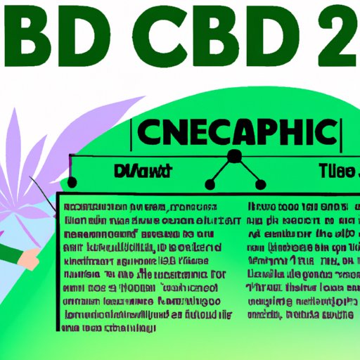 Section 2: The Science Behind CBD: Understanding How It Works in the Body