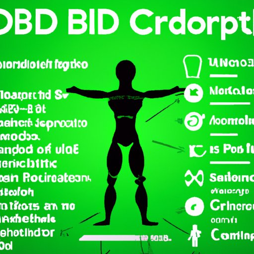 How CBD Works in the Body