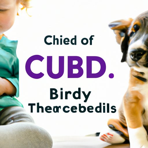 Health Risks vs Rewards: The Pros and Cons of Introducing Puppies to CBD at an Early Age